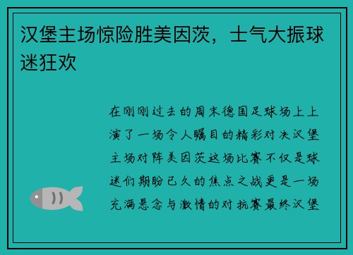 汉堡主场惊险胜美因茨，士气大振球迷狂欢